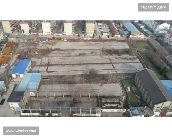 重建美好家园的实用指南与策略分享,助力打造理想生活环境 重建美好家园的实用指南与策略分享,助力打造理想生活环境